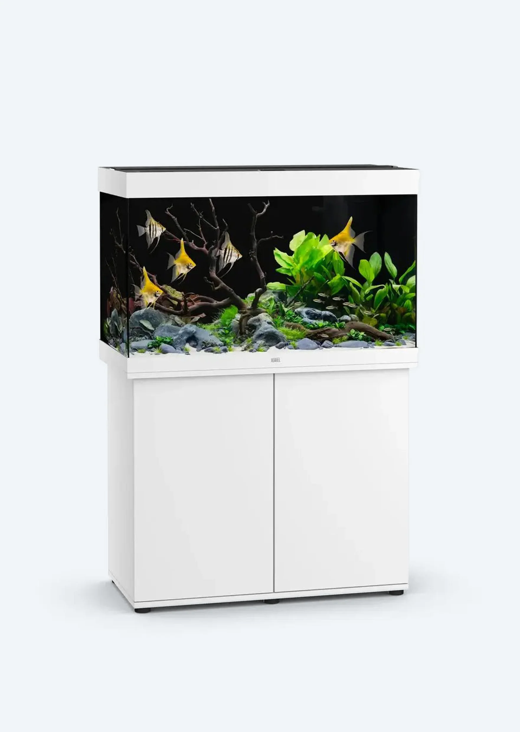 Our Top Aquariums